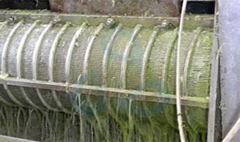 不銹鋼楔形絲過濾篩筒用于農業食品行業